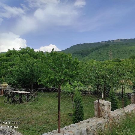 Villa Aleks Ohrid Esterno foto
