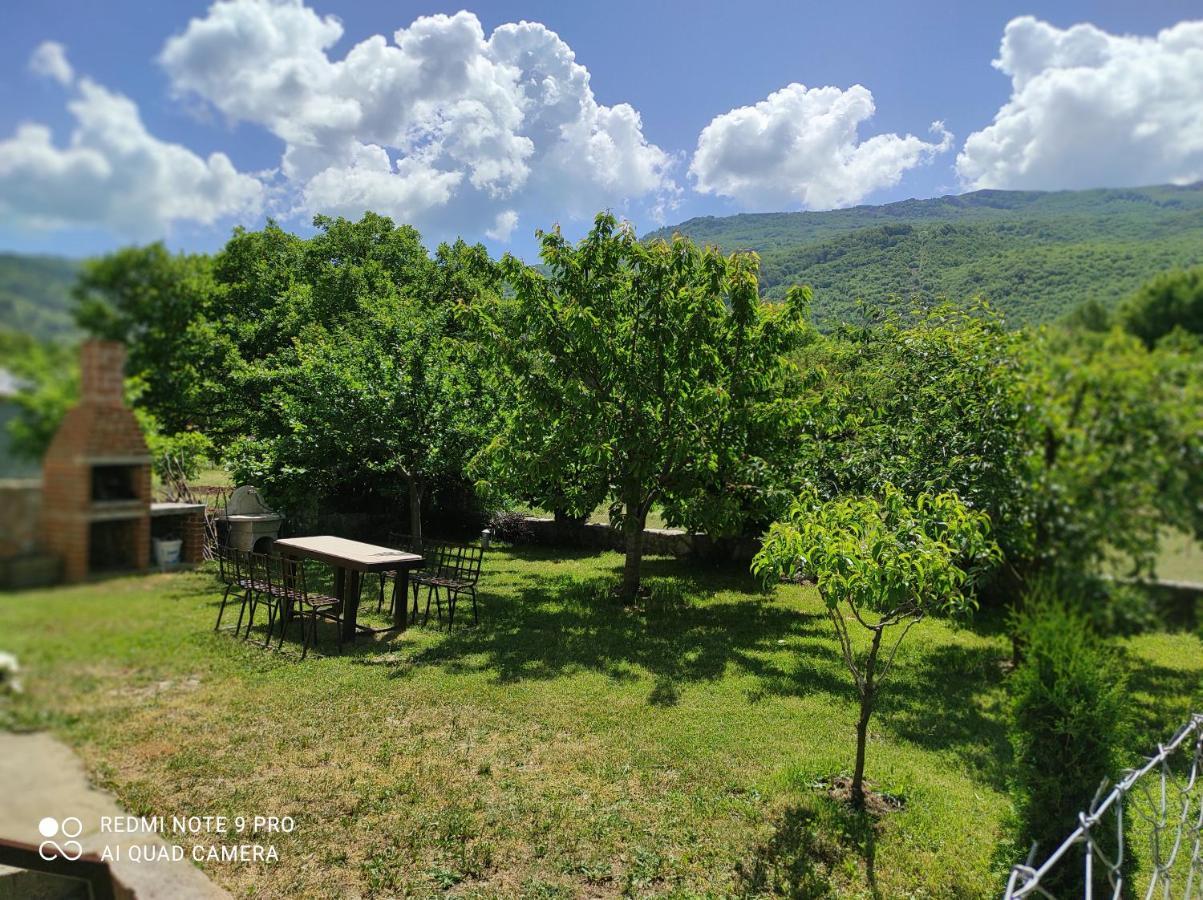 Villa Aleks Ohrid Esterno foto