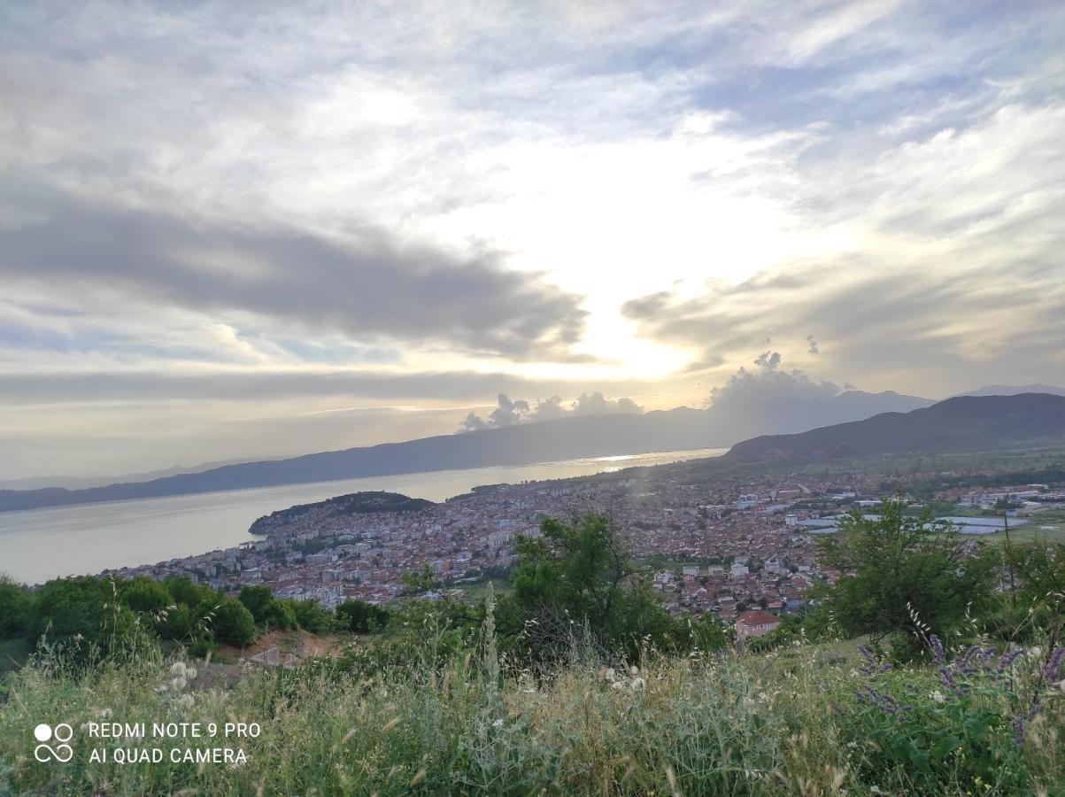 Villa Aleks Ohrid Esterno foto